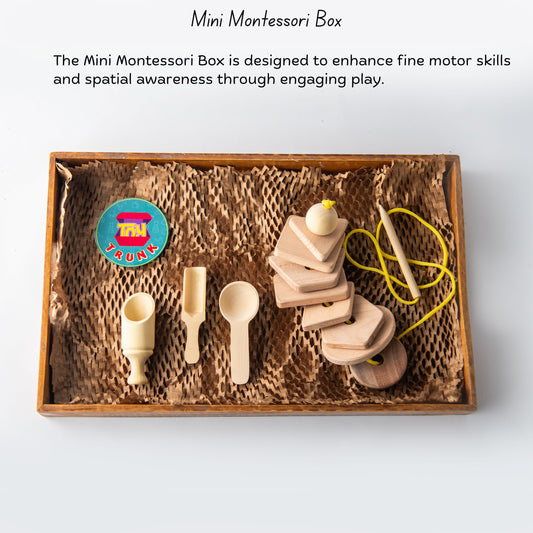 Wooden Mini Montessori Box (6 Months+)